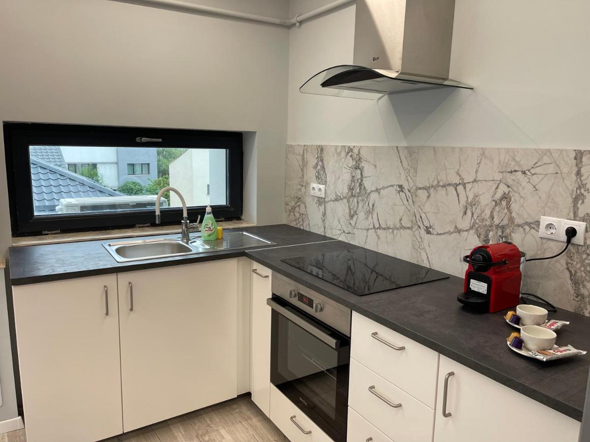Noah Apartment Self Check-In Otopeni Exterior foto
